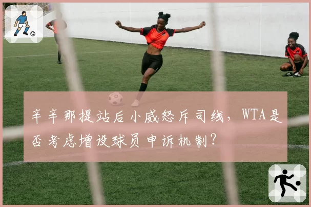 辛辛那提站后小威怒斥司线，WTA是否考虑增设球员申诉机制？